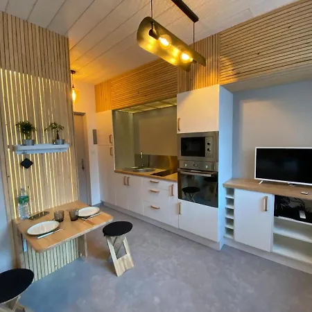 Quartier Salins 5mn Gare Routiere * クレルモン・フェラン